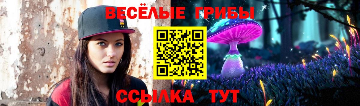 Псилоцибиновые грибы мухоморы Батайск
